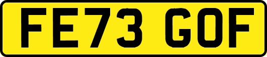 FE73GOF