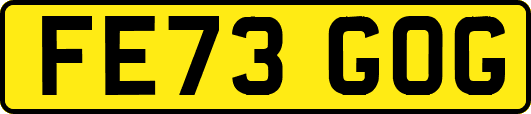 FE73GOG
