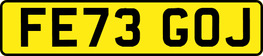 FE73GOJ