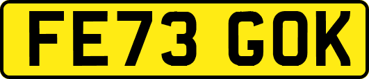 FE73GOK
