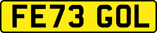 FE73GOL