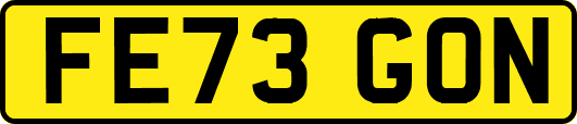 FE73GON