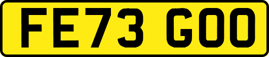 FE73GOO