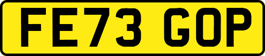 FE73GOP