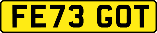 FE73GOT