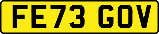 FE73GOV