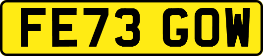 FE73GOW