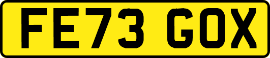 FE73GOX