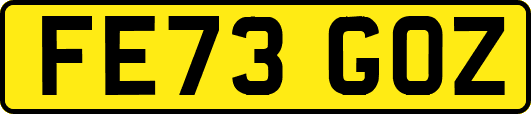 FE73GOZ