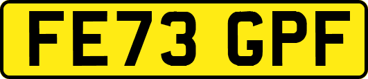 FE73GPF
