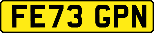 FE73GPN