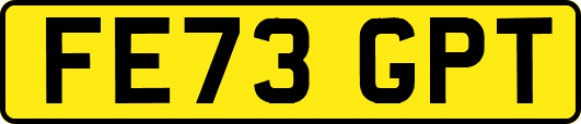 FE73GPT