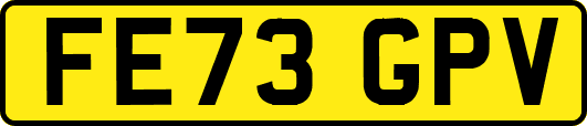 FE73GPV