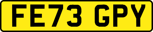 FE73GPY