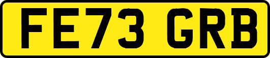 FE73GRB
