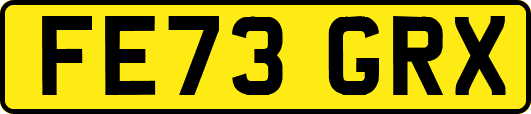 FE73GRX