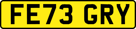 FE73GRY