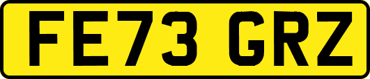 FE73GRZ