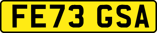 FE73GSA