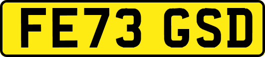 FE73GSD