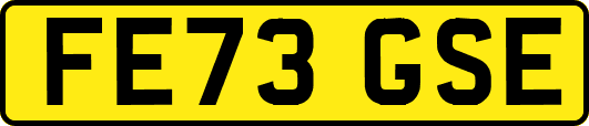 FE73GSE