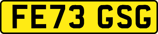 FE73GSG