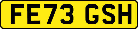 FE73GSH