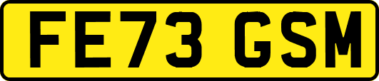 FE73GSM
