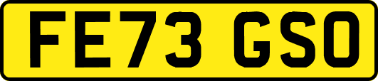 FE73GSO