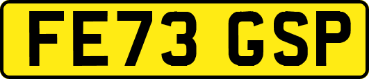 FE73GSP