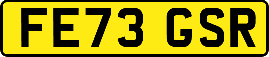 FE73GSR