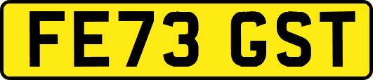 FE73GST