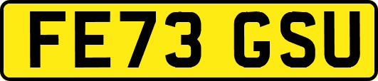 FE73GSU