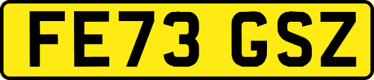 FE73GSZ