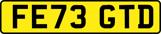 FE73GTD