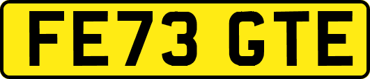 FE73GTE