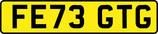 FE73GTG