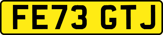 FE73GTJ