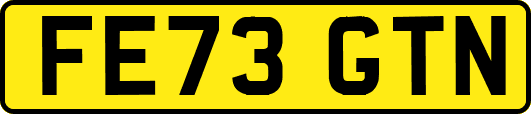 FE73GTN