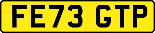 FE73GTP