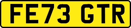 FE73GTR