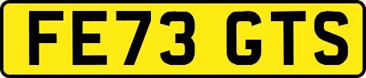 FE73GTS