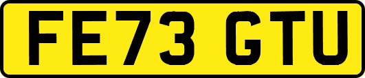 FE73GTU