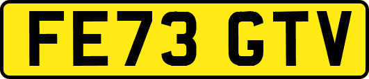 FE73GTV