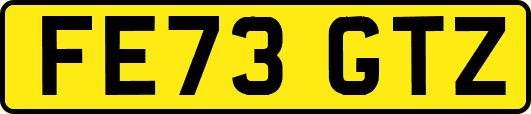 FE73GTZ