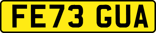 FE73GUA