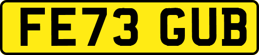 FE73GUB
