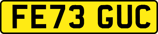 FE73GUC