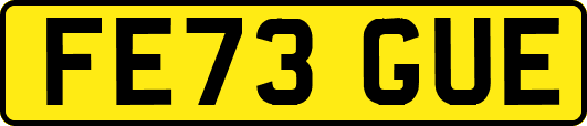 FE73GUE
