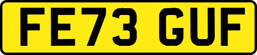 FE73GUF